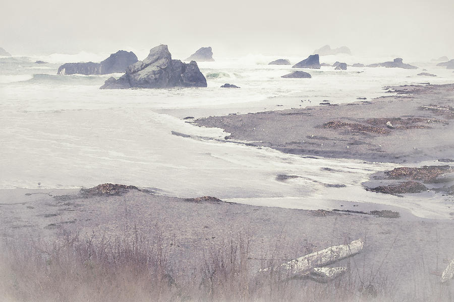 Harris Beach at Brookings Oregon in the Fog Photograph by Catherine Avilez