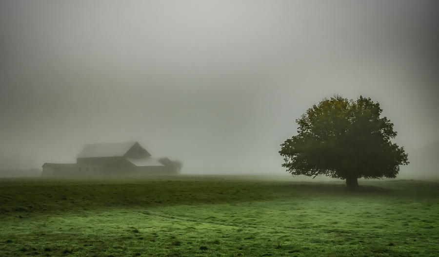 Portland Photograph - Foggy Barn by Don Schwartz