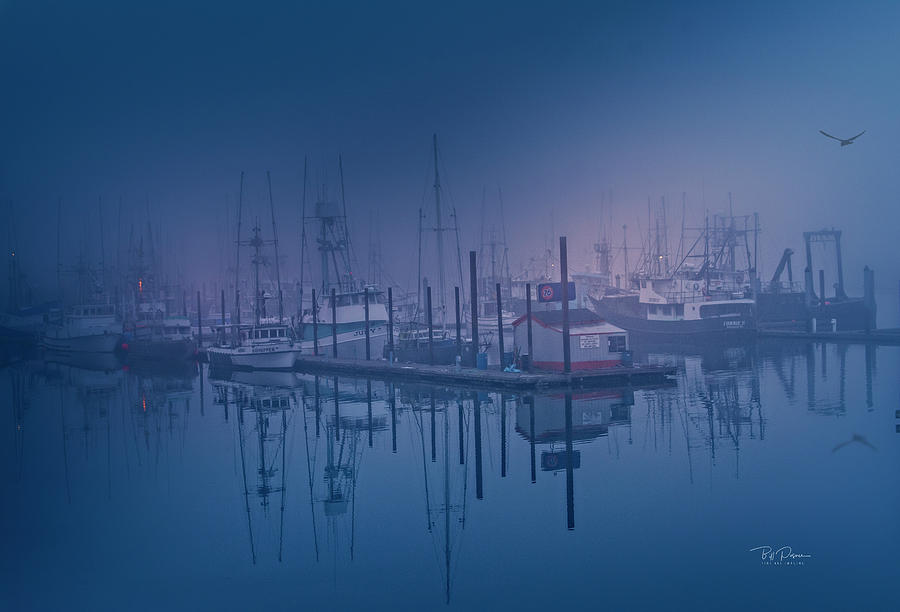Foggy Bay Front Photograph by Bill Posner