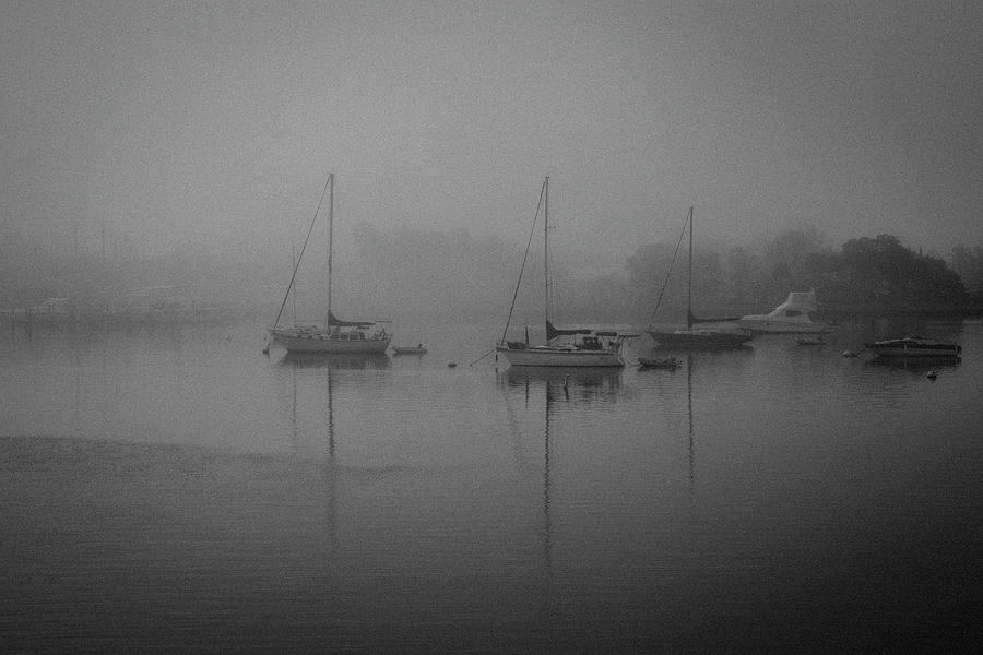 Foggy Bay Sails Photograph by Linda Steele