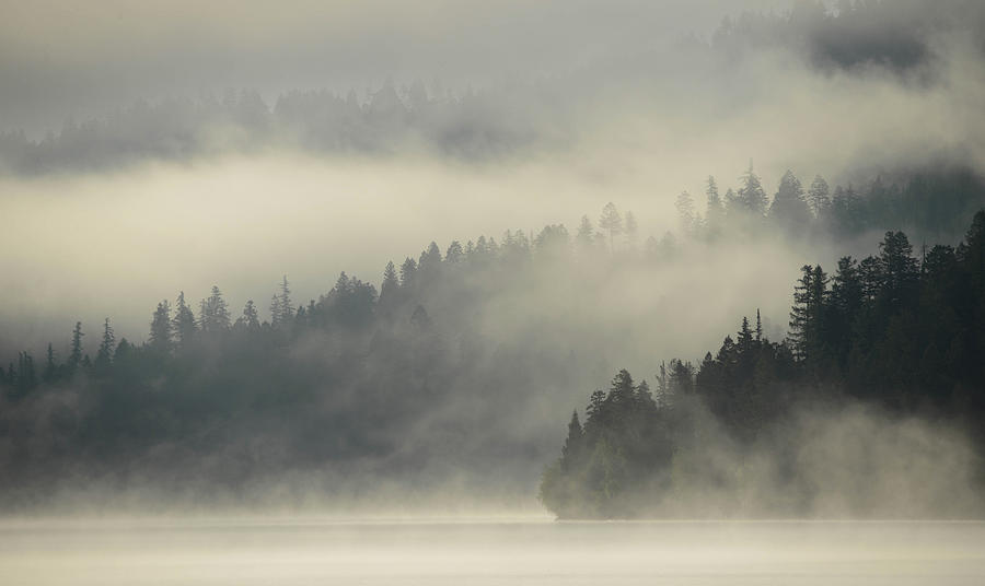 Foggy Bay Photograph by Whispering Peaks Photography