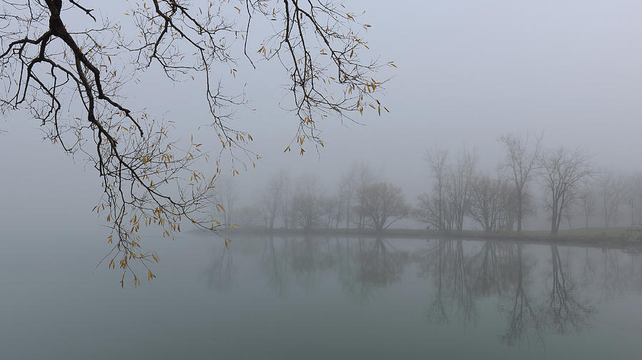 Fog Photograph - Foggy Waters by Zhijian Tao Fog Photograph - Foggy Waters by Zhijian Tao