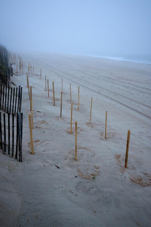 Foggy Beach Photograph by David Stasiak