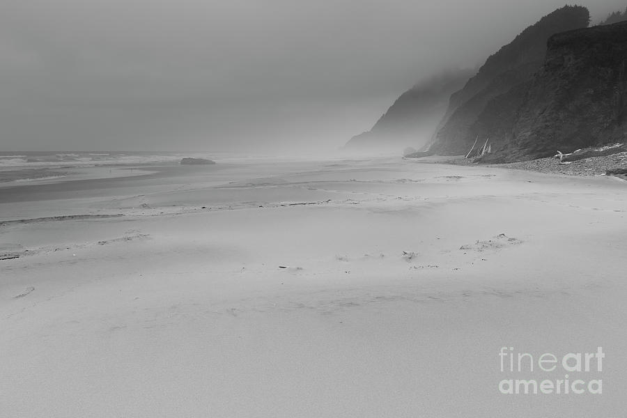 Foggy Beach Photograph by Masako Metz
