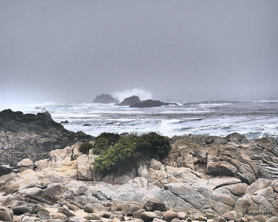 Foggy California Coast Photograph by Jack Riordan
