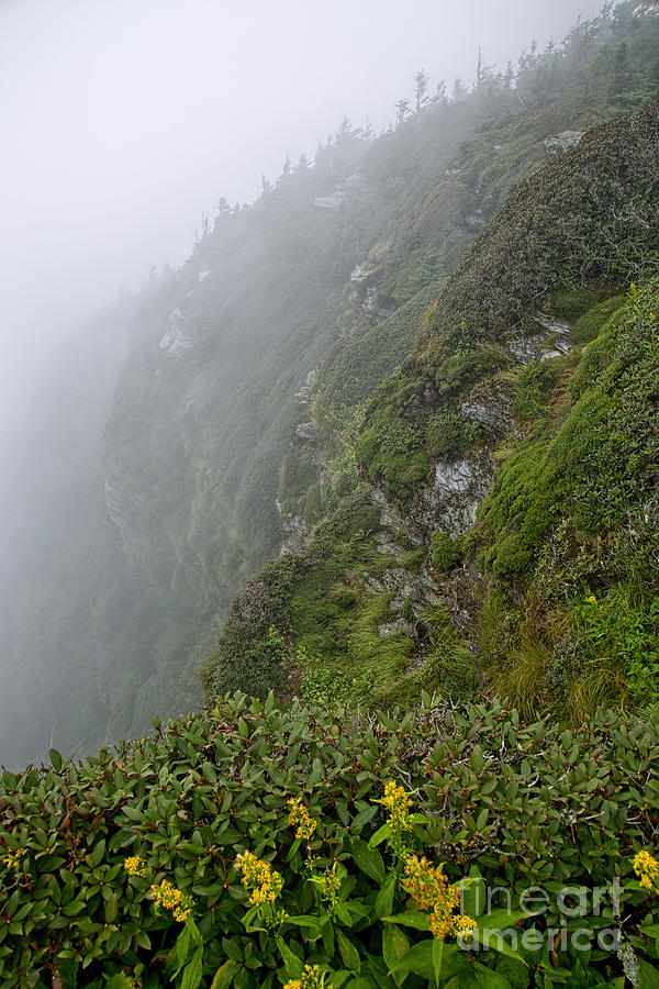 Foggy Cliff Tops Photograph by Jemmy Archer