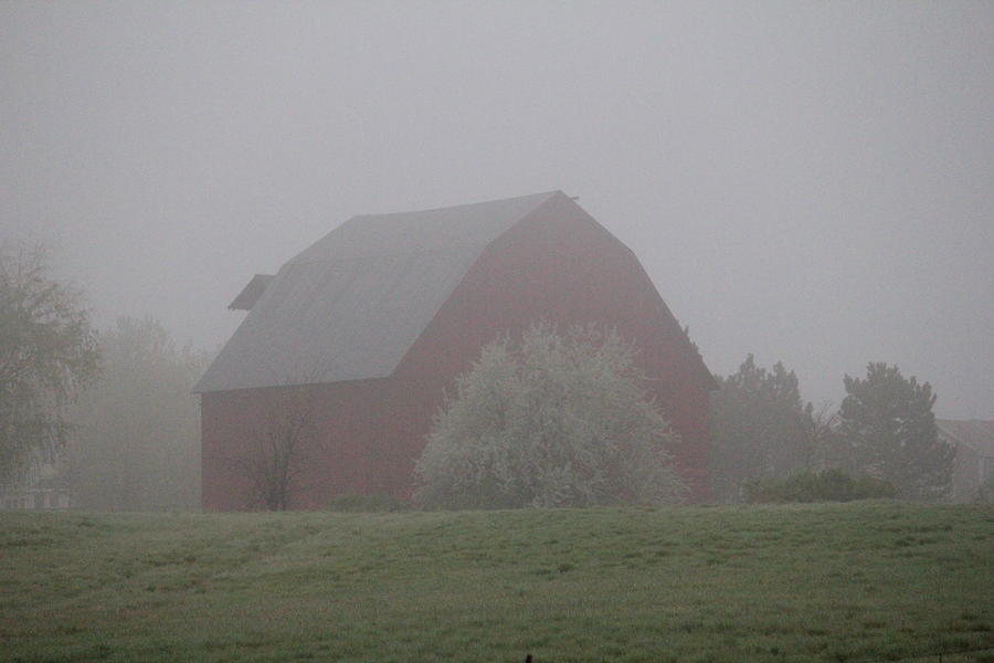 Foggy Country Morning Photograph by Trent Mallett
