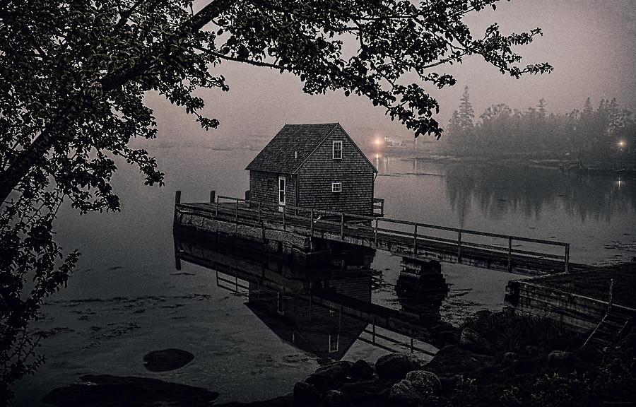 Foggy Cove and Shanty Photograph by Marty Saccone