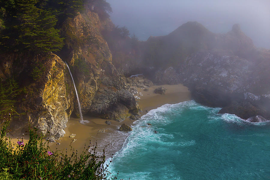 Foggy Cove Photograph by Garry Gay