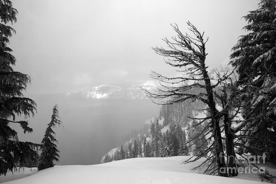 Foggy Crater Black And White Photograph by Adam Jewell