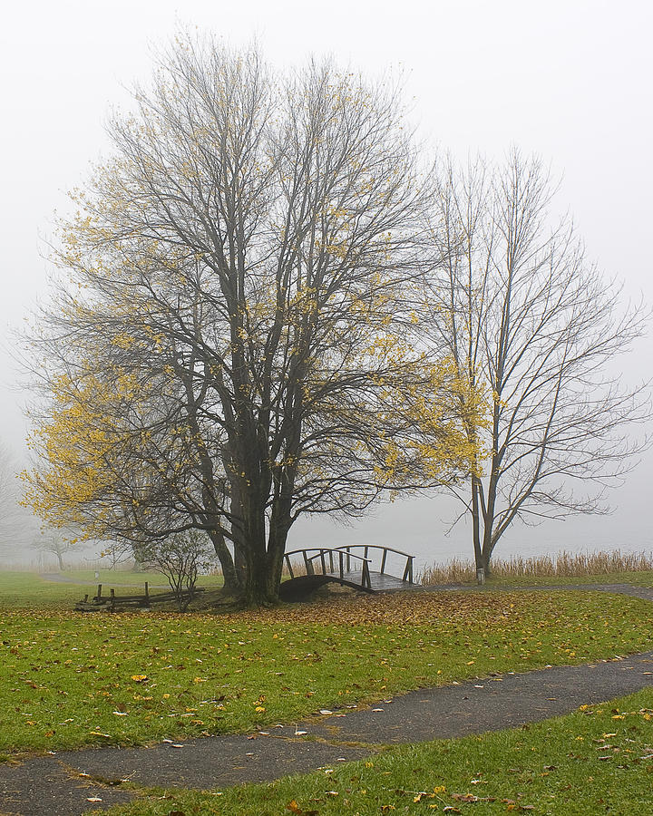 Foggy Crossing Photograph by Alan Raasch