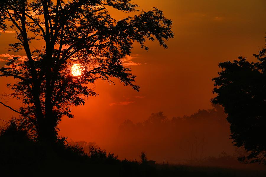 Foggy Dawn 2 Photograph By Kathryn Meyer - Fine Art America