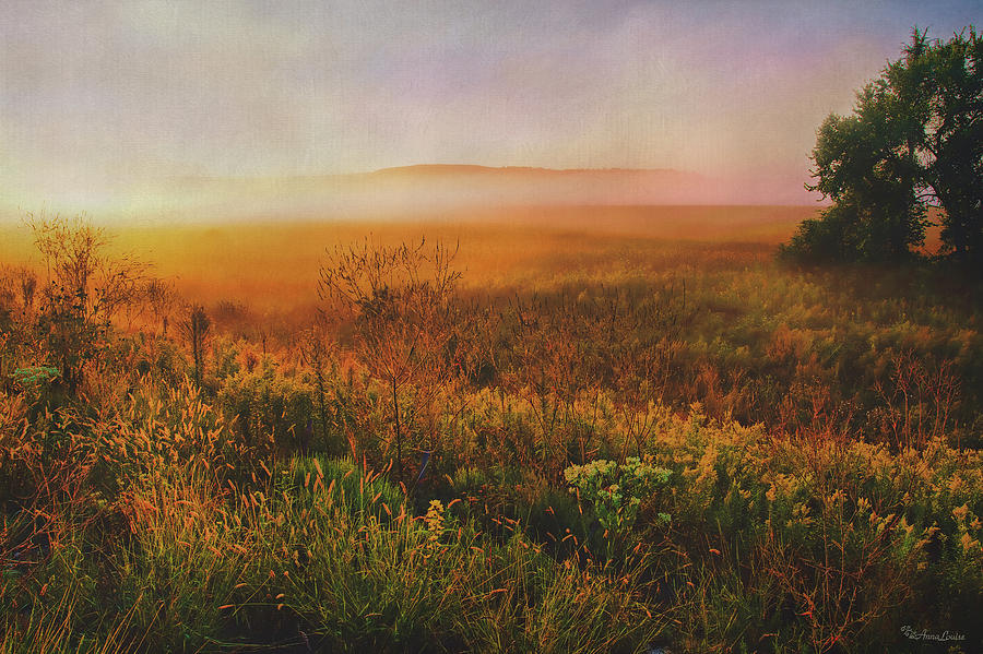 Foggy Dawn Kansas Prairie Photograph by Anna Louise