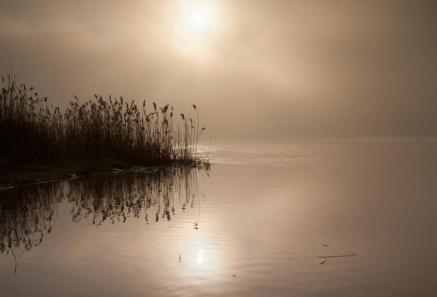 Foggy dawn on the river Photograph by Tomasz Kubis - Fine Art America