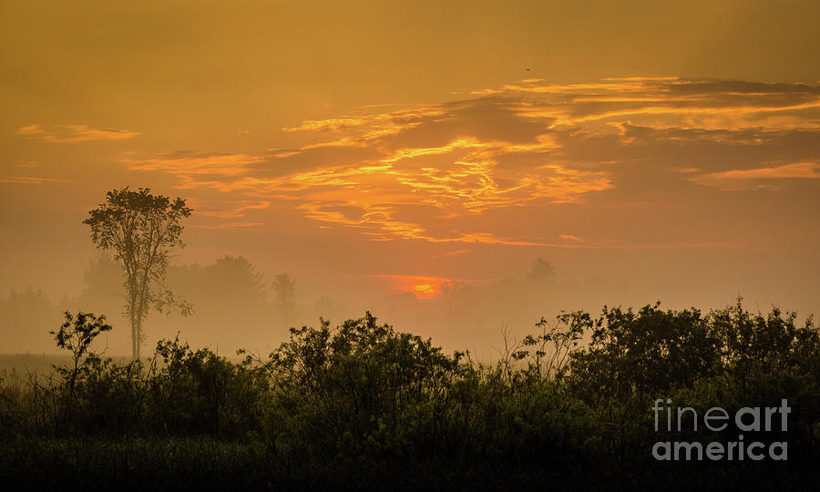Foggy Dawn Photograph by Roger Monahan