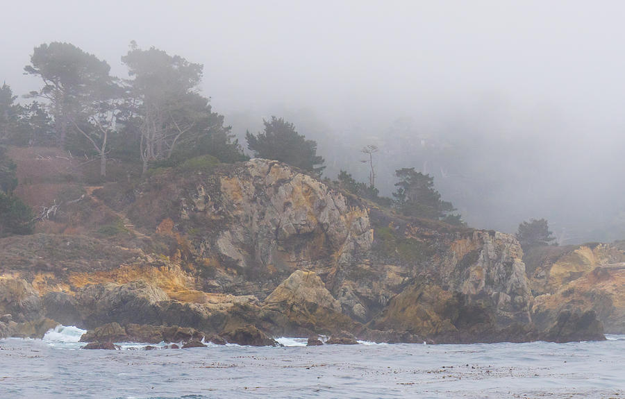 Foggy Day at Point Lobos Photograph by Derek Dean