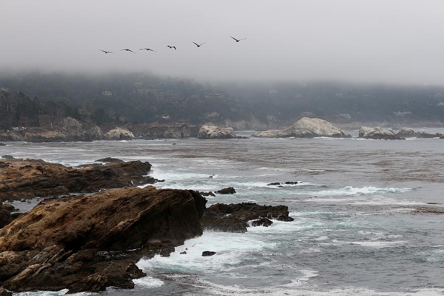 Foggy Day at Point Lobos Reserve - 3 Photograph by Christy Pooschke