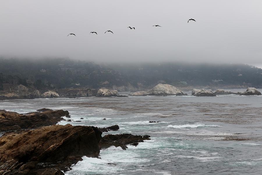 Foggy Day at Point Lobos Reserve - 4 Photograph by Christy Pooschke