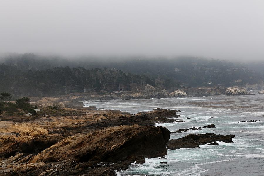 Foggy Day at Point Lobos Reserve  Photograph by Christy Pooschke