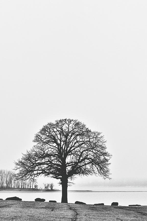 Foggy Day at the Lake by CE Haynes Foggy Day at the Lake by CE Haynes
