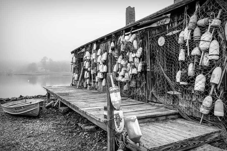 Foggy Day at the Lobster Pound Photograph by Dawna Moore Photography
