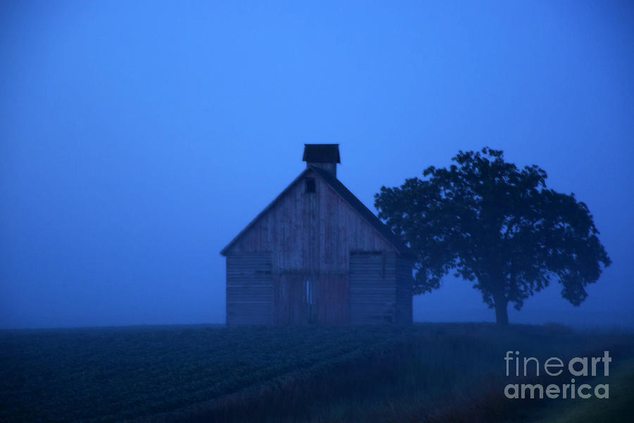 Foggy Day In The Country Photograph by Kathy M Krause
