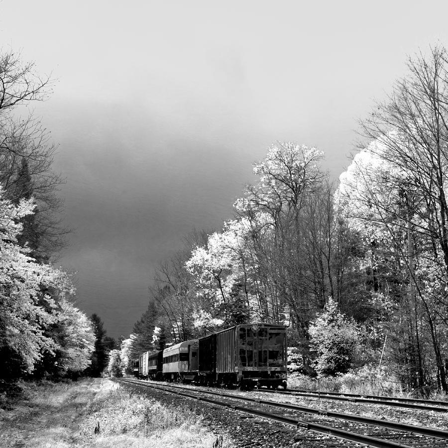 Foggy Day on the Rails Photograph by David Patterson