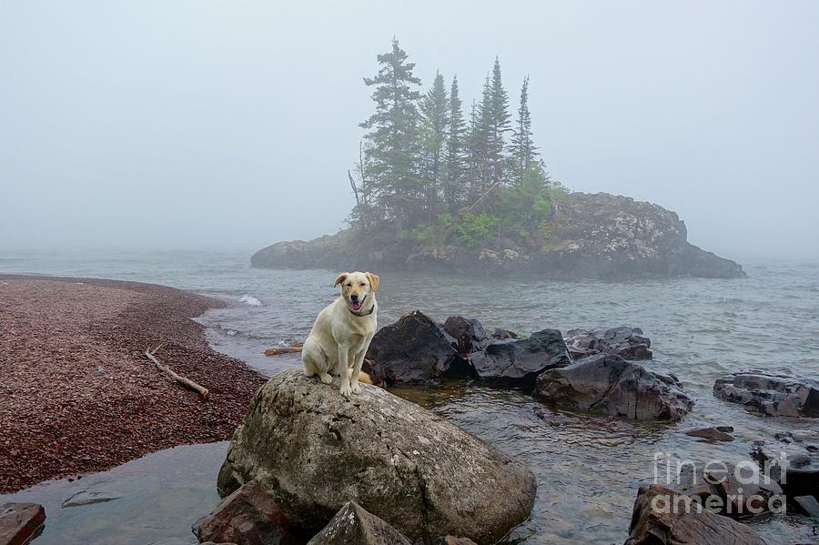 Foggy Day on the Superior Hiking Trail Photograph by Sandra Updyke