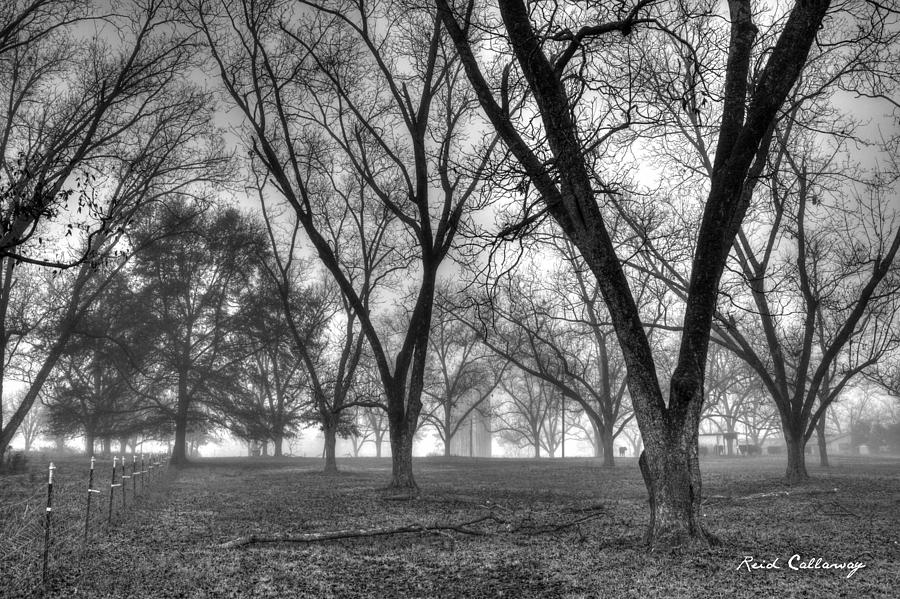 Foggy Day Pecans Landscape Farm Scene Photograph by Reid Callaway