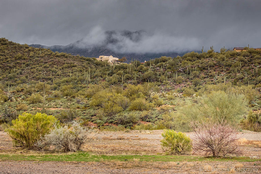 Foggy Desert Range Photograph by Aaron Burrows