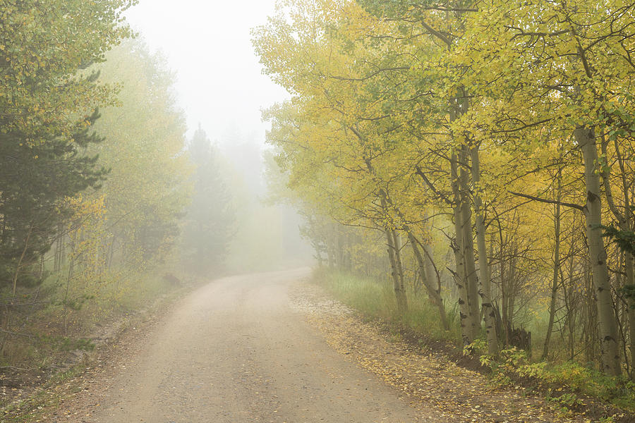 Foggy Dirt Road In The Autumn Season Photograph