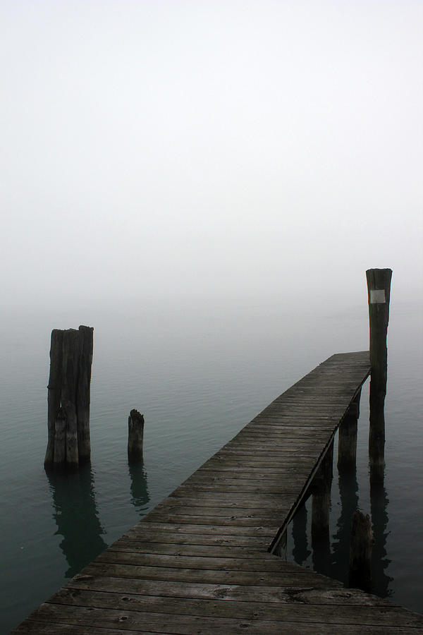 Foggy Dock 50 Photograph by Mary Bedy