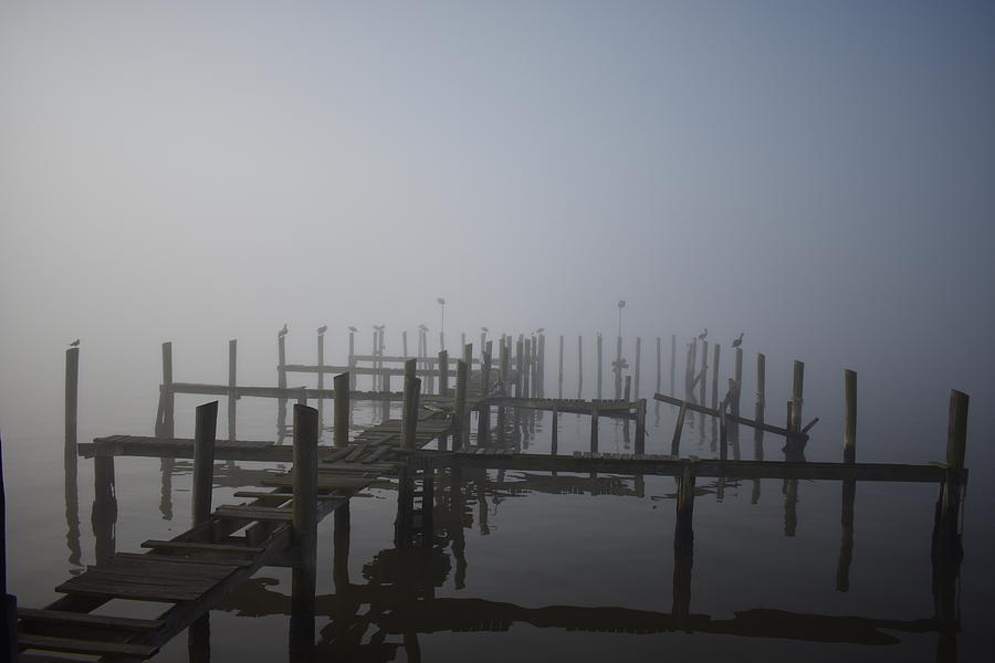 Foggy Dock Photograph by Michael Thomas - Fine Art America