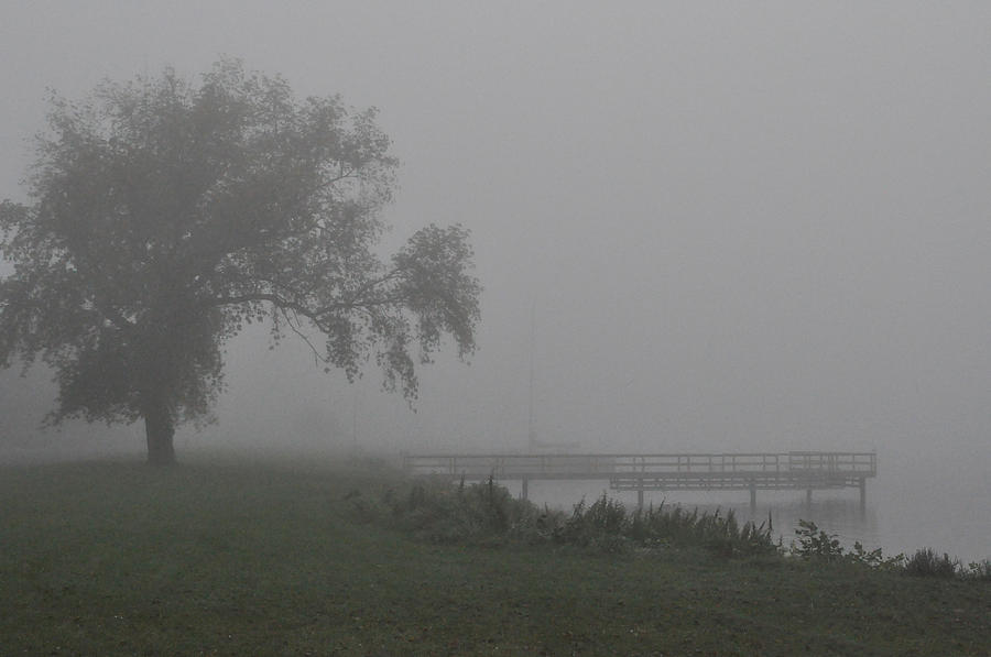 Foggy Dock Photograph by Tim Nyberg