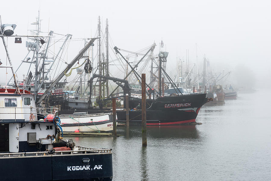 Foggy Docks Photograph by Robert Potts