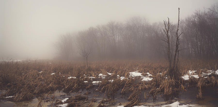 Nature Photograph - Foggy Dreams by Brandon Rosburg