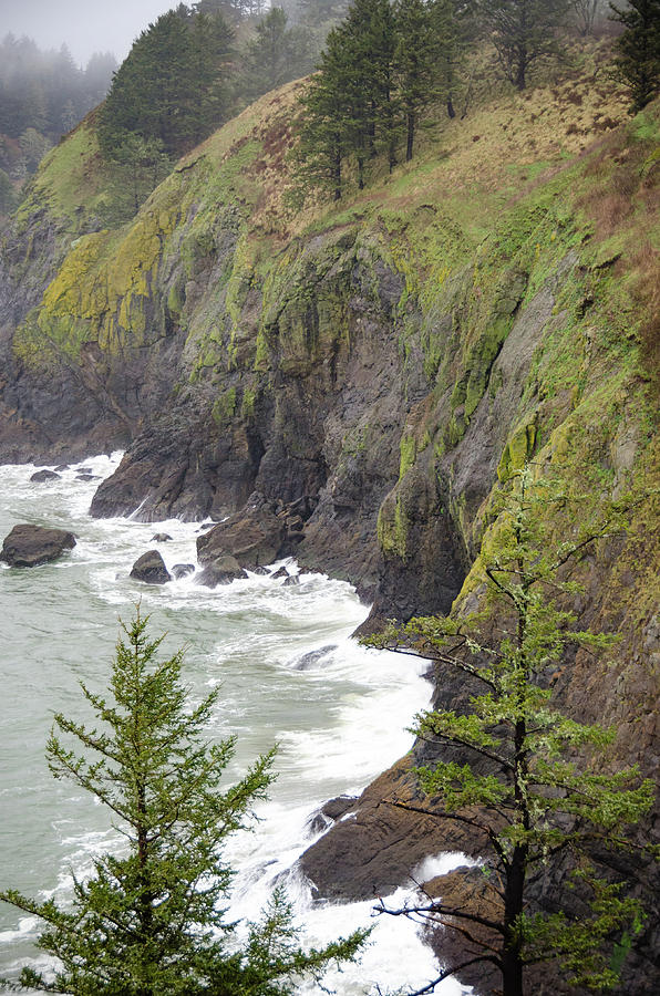 Foggy Evening at Cape Disappointment Photograph by Anthony Doudt