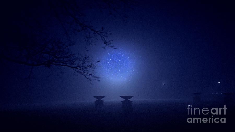 Foggy Evening in the Park Photograph by Jenny Revitz Soper