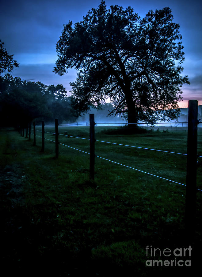 Foggy Evening in Vermont - Portrait Photograph by James Aiken