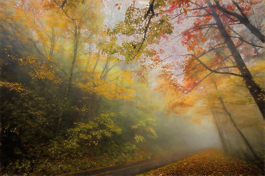 Foggy Fall Foliage II Painting by Dan Carmichael