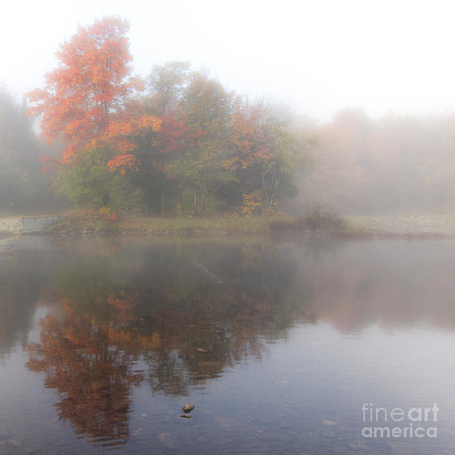 Foggy Fall Reflections - Square Photograph by Rod Best