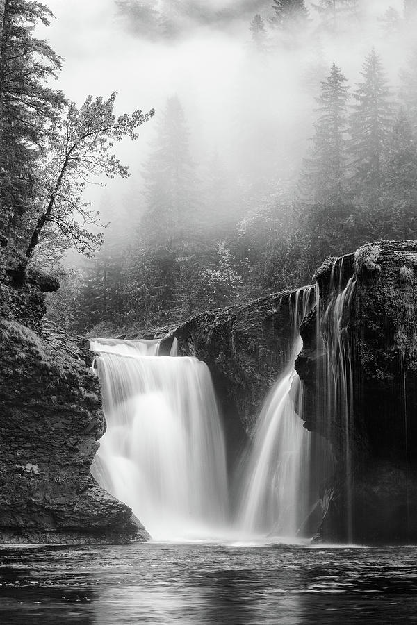Black And White Photograph - Foggy Falls Monochrome by Darren White