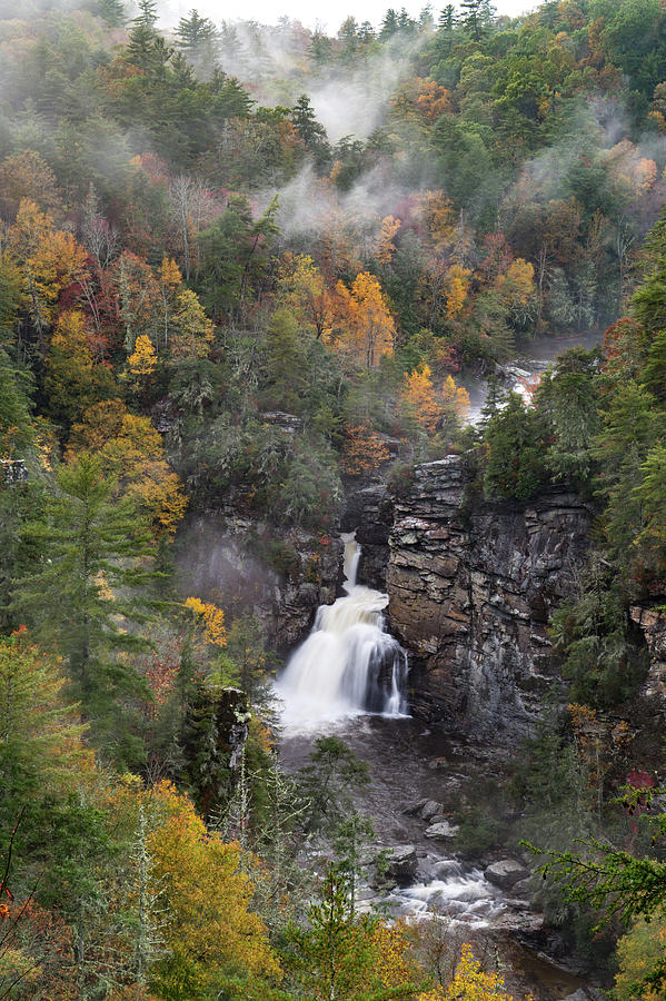 Foggy Falls Photograph by Tyler Penland