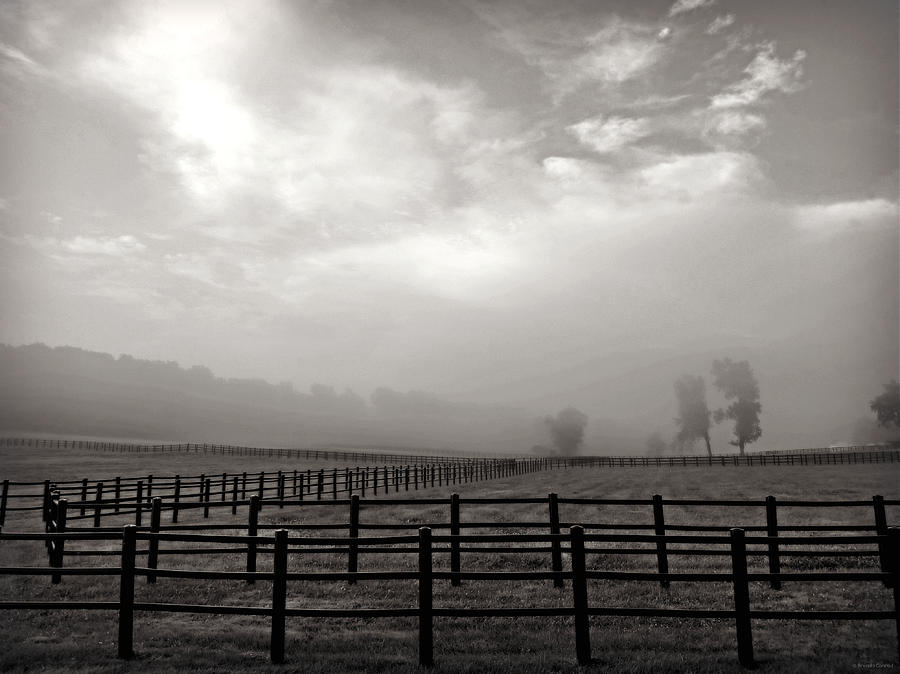 Landscape Photograph - Foggy Farm by Dark Whimsy