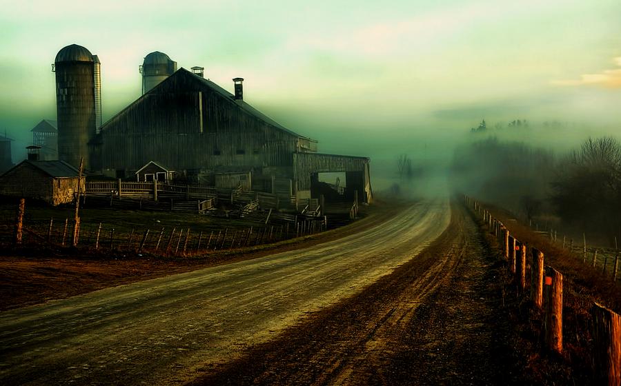 Foggy Farm Photograph By Dawn Van Doorn Fine Art America