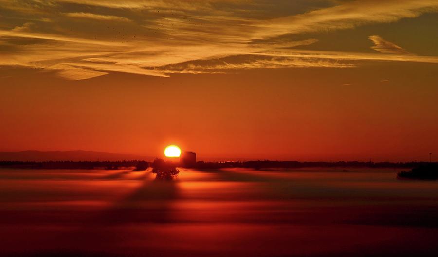 Foggy Farmlands Sunrise Photograph by Marilyn MacCrakin