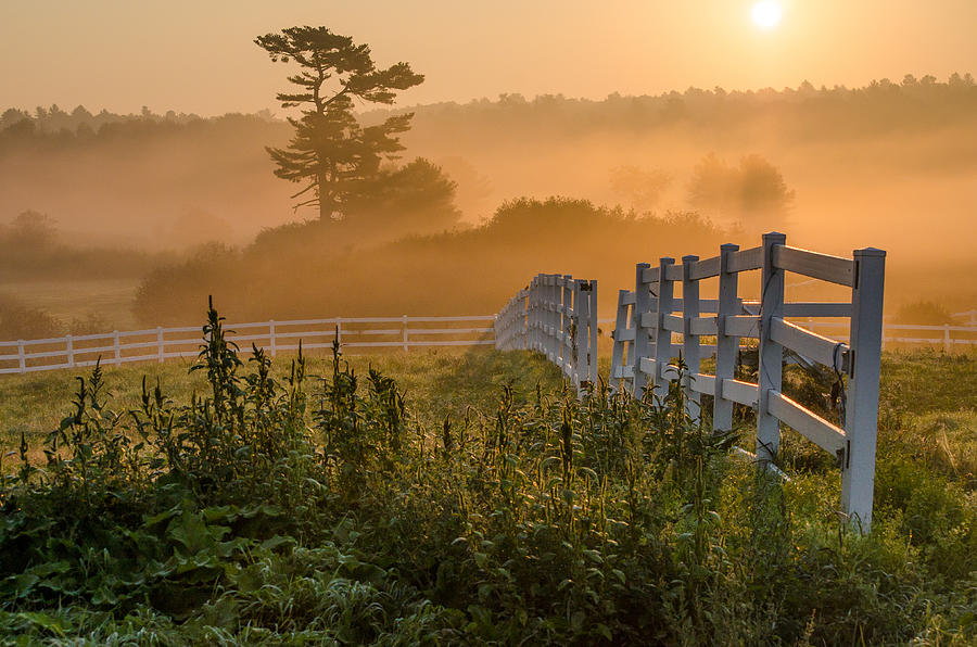 Farm Photograph - Foggy Fence by Paul Noble