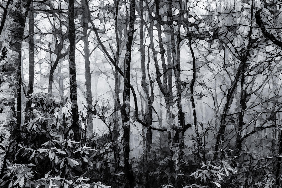 Foggy Forest in Fall BW Digital Art by Lisa Lemmons-Powers