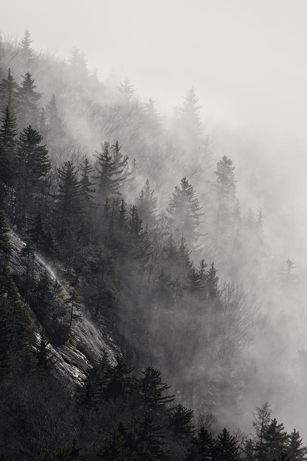 Forest Fog Photograph - Foggy Mountain Forest by Ken Barrett