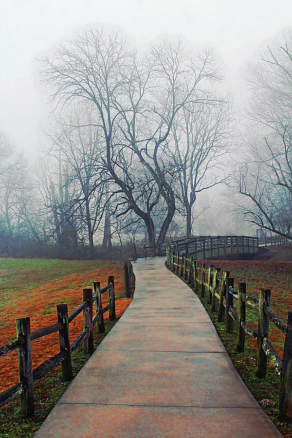 Foggy Forevers Photograph by Jessica Brawley